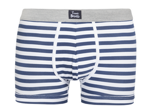 Little Lion - blue white striped Brief - True Boxers