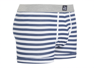 Little Lion - blue white striped Brief - True Boxers