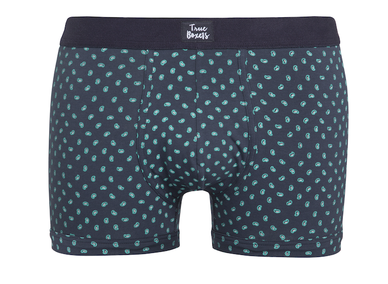 Side Daddy - blue brief with green paisley pattern - True Boxers